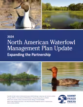 North American Waterfowl Management Plan - 2024 Update