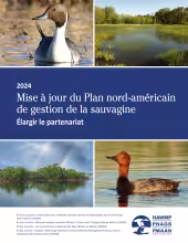 Mise à jour du Plan nord-américain de gestion de la sauvagine de 2024