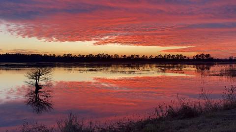 A red and orange sunset reflects across open wetland water with trees silhouetted along the horizon.