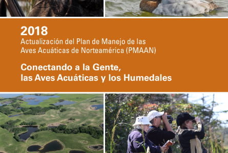2018 Actualización del Plan de Manejo de las Aves Acuáticas de Norteamérica