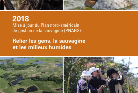 2018 Mise à jour du Plan nord-américain de gestion de la sauvagine