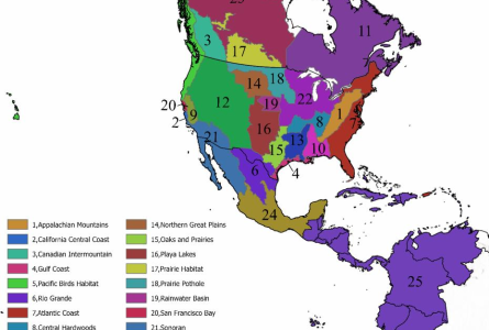 Map of North American Waterfowl Management Plan Joint Venture boundaries across Canada, the U.S., Mexico, and Central America, used in the report's regional population step-down analysis.